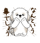 シーズー犬 2025 「リアクション2」（個別スタンプ：14）