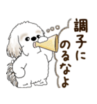 シーズー犬 2025 「リアクション2」（個別スタンプ：15）