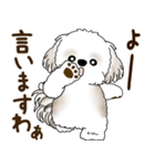 シーズー犬 2025 「リアクション2」（個別スタンプ：16）