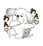 シーズー犬 2025 「リアクション2」（個別スタンプ：17）