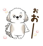 シーズー犬 2025 「リアクション2」（個別スタンプ：18）