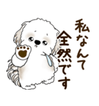シーズー犬 2025 「リアクション2」（個別スタンプ：19）