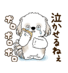 シーズー犬 2025 「リアクション2」（個別スタンプ：22）