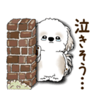 シーズー犬 2025 「リアクション2」（個別スタンプ：23）