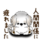 シーズー犬 2025 「リアクション2」（個別スタンプ：24）