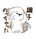 シーズー犬 2025 「リアクション2」（個別スタンプ：25）