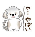 シーズー犬 2025 「リアクション2」（個別スタンプ：26）