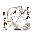 シーズー犬 2025 「リアクション2」（個別スタンプ：28）
