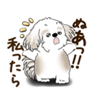 シーズー犬 2025 「リアクション2」（個別スタンプ：29）