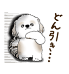 シーズー犬 2025 「リアクション2」（個別スタンプ：31）