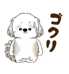 シーズー犬 2025 「リアクション2」（個別スタンプ：32）