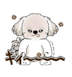シーズー犬 2025 「リアクション2」（個別スタンプ：35）
