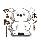 シーズー犬 2025 「リアクション2」（個別スタンプ：36）