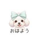 トイプードル(リアルタッチ、ホワイト)（個別スタンプ：1）