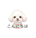 トイプードル(リアルタッチ、ホワイト)（個別スタンプ：2）