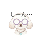 トイプードル(リアルタッチ、ホワイト)（個別スタンプ：12）