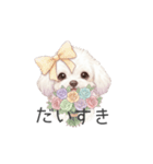 トイプードル(リアルタッチ、ホワイト)（個別スタンプ：14）