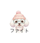 トイプードル(リアルタッチ、ホワイト)（個別スタンプ：15）