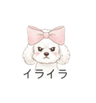 トイプードル(リアルタッチ、ホワイト)（個別スタンプ：18）