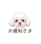 トイプードル(リアルタッチ、ホワイト)（個別スタンプ：19）