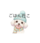 トイプードル(リアルタッチ、ホワイト)（個別スタンプ：23）