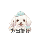 トイプードル(リアルタッチ、ホワイト)（個別スタンプ：24）