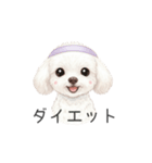 トイプードル(リアルタッチ、ホワイト)（個別スタンプ：25）