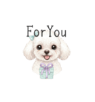 トイプードル(リアルタッチ、ホワイト)（個別スタンプ：28）