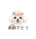 トイプードル(リアルタッチ、ホワイト)（個別スタンプ：29）