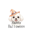 トイプードル(リアルタッチ、ホワイト)（個別スタンプ：30）