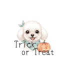 トイプードル(リアルタッチ、ホワイト)（個別スタンプ：31）