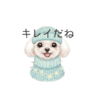 トイプードル(リアルタッチ、ホワイト)（個別スタンプ：34）