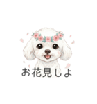 トイプードル(リアルタッチ、ホワイト)（個別スタンプ：35）