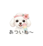 トイプードル(リアルタッチ、ホワイト)（個別スタンプ：37）