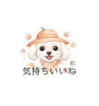 トイプードル(リアルタッチ、ホワイト)（個別スタンプ：38）