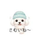 トイプードル(リアルタッチ、ホワイト)（個別スタンプ：39）