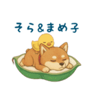 そらとまめ子のほのぼの日常（個別スタンプ：1）