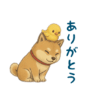 そらとまめ子のほのぼの日常（個別スタンプ：8）
