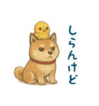 そらとまめ子のほのぼの日常（個別スタンプ：13）