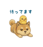 そらとまめ子のほのぼの日常（個別スタンプ：14）