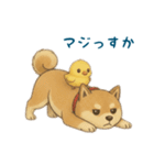 そらとまめ子のほのぼの日常（個別スタンプ：15）
