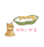 そらとまめ子のほのぼの日常（個別スタンプ：21）