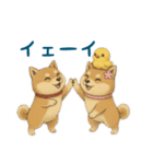 そらとまめ子のほのぼの日常（個別スタンプ：23）