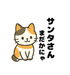 三毛猫のゆるかわクリスマススタンプ（個別スタンプ：2）