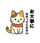 三毛猫のゆるかわクリスマススタンプ（個別スタンプ：5）