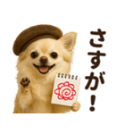 秋冬ずっと使える♡ 気づかいチワワ（個別スタンプ：7）