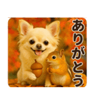 秋冬ずっと使える♡ 気づかいチワワ（個別スタンプ：10）