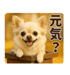 秋冬ずっと使える♡ 気づかいチワワ（個別スタンプ：15）