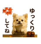 秋冬ずっと使える♡ 気づかいチワワ（個別スタンプ：23）