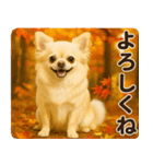 秋冬ずっと使える♡ 気づかいチワワ（個別スタンプ：29）